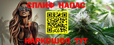 гашик Заводоуковск
