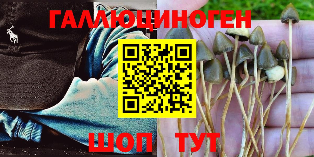 Верхний Уфалей  Галлюциногенные грибы Psilocybine cubensis  Вход с VPN 